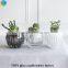 shining star crystal tealight candle holders
