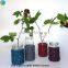 Glass Jar Vase