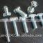 8.8 grade carriage bolt with free sample
