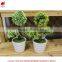 New design potted plant for house design new product on China market