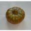 Artificial Pumpkin,Artificial Vegetable