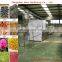 fruit and vegetable drying machine/food processing ginger dehydrator