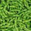 Frozen whole edamame,Frozen soy beans(HACCP,ISO22000,BRC,HALAL)