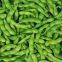 Frozen whole edamame,Frozen soy beans(HACCP,ISO22000,BRC,HALAL)