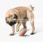 Funny Daruma Pet Dog leaks food balls