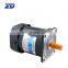 AC gear motor