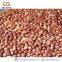 Electric Nut Roasting Machine Nut Roasting Equipment Cashew Nut Roasting Machine Price