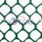 Manufacturer Plastic Flat Net/Plastic Mesh/Hard Plastic Net low price