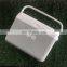 Cheap Mini Portable  Plastic EPS Foam 3L Ice Cooler Box