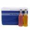 GiNT 11L Popular Size Portable Ice Chest Hard Coolers Short Travelling Ice Cooler Boxes