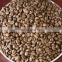 Robusta green coffee bean for sales Vietnam origin