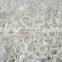 Sinocharm  IQF Fresh Vegetable Onion Strips 8-10 mm Suppliers Frozen White Onion