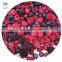 Sinocharm Fresh Taste IQF Frozen Mix Berries Strawberry Raspberry Blackberry Blueberry With High Quality