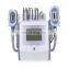 expo 2022 360 degree fat removal cryolipolyse home criolipolyse fat reducing waist trimmer top ranking criolipolisys machine