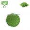 Pure Wheat Grass Powder, Wheat Grass extract powder, Wheatgrass Powder