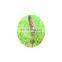 Horsetail Extract powder  with 7%  Silicic Acid