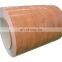 PPGI PPGL Prepainted steel coil manufacture specification ppgi/ppgl steel coil