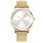 Fashion Replacement Stainless Steel Bracelet Strap simple cheap stainless steel luxury watch women