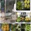 Automatic Pineapple Peeler machine Pineapple juicer machine