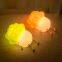 Lying cabbage night light, Soft Animal Silicone Night Light for Kids Room Bedroom, Portable USB Rechargeable baby night light