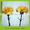 Pure and mild flavor crazy selling diversified in packaging inflatable carnation cut flower
