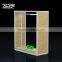 ZJF Factory supply luxury display rack new design