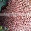 High quality and Anti-cancer wholesale dried shiitake mushroom