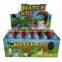 Magic Growing Eggs Customized Animals Water Dinosaur Egg