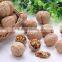 cheap100% organic walnuts in shell price