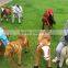 Hot sale innovative gifts music horse toy kid riding horse toy for kids
