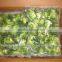 IQF Broccoli