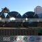 prepainted steel coil
