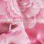 Pink Flowers Jacquard Peony Coming Home Bedding                        
                                                Quality Choice
