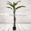 Artificial Realistic Banana Tree