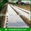 Buy eco-friendly agiculture polypropylene spunbonded non woven fabric