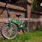 Green power mini foldable e-bike 250W brushless