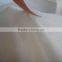 Tricot One Side Brushed Velcroable Fabric for Abrasive Industry
