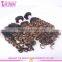 2016 Best Quality Deep Wave Brazilian Remy Ombre Hair Weave Cheap Human Hair Lace Closure