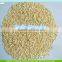 Premium Quality Garlic Granules8-16/16-26/26-40/40-80mesh