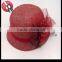 2016 new spring and summer hat visor color hemp breathable mesh silk bright line bucket cloche hat lady sun hat