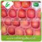 New fresh delicious red fuji apples fruits