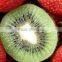 2016 New Crop Fresh Kiwi Fruit With Reasonable Price