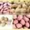 Peanuts in shelled