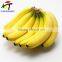 Direct factory price the good quality Ethylene Ripener for banana(16)