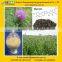 GMP manufacturer supply top quality Maintain Liver Health Milk Thistle Seed Extract powder