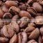 Robusta Coffee from Vietnam, high quality