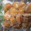 vacuum packed roasted chestnuts snack
