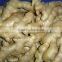 Fresh air dried Ginger