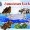 Aquaculture Sea Salt For Crab Farm