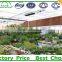 UV Coating PC Sheets Type Polycarbonate Commercial Greenhouse